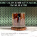 Seattle Etched Skyline Whiskey Glasses