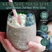 Scorpio Stemless Wine Glasses