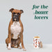 Boxer Premium Airtight Ceramic Dog Treat Canister Jar Set with Lid