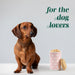 Pink Premium Airtight Ceramic Dog Treat Canister Jar Set with Lid