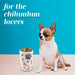 Chihuahua Premium Airtight Ceramic Dog Treat Canister Jar Set with Lid