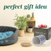 Navy Premium Airtight Ceramic Dog Treat Canister Jar Set with Lid