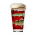 Freshwater & Saltwater Beer Glass Set