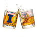 University Of Illinois Whiskey Glass Set (2 Low Ball Glasses)
