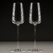 White Wine Glasses (Set of 2)