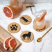 Labrador Retriever Cork Drink Coasters - Set of 4