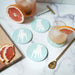 Pitbull Ceramic Drink Coasters - Set of 4