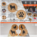 Pug Cork Coasters (Set of 4)