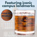 Auburn University Whiskey Glass Set (2 Low Ball Glasses)