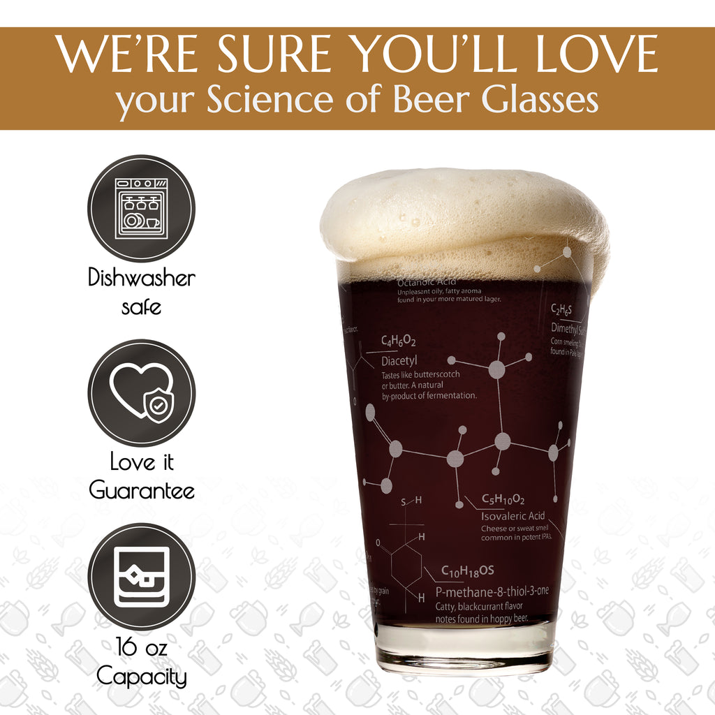 Science of Beer Etched Beer Glass