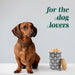 Black Premium Airtight Ceramic Dog Treat Canister Jar Set with Lid
