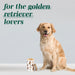 Golden Retriever Premium Airtight Ceramic Dog Treat Canister Jar Set with Lid