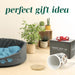 Golden Retriever Premium Airtight Ceramic Dog Treat Canister Jar Set with Lid
