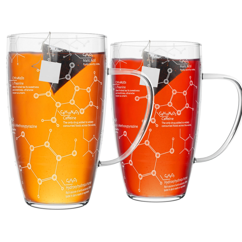 Glass Coffee Tea Mug 18 Oz Set of 4 Large Clear Cup with Handle